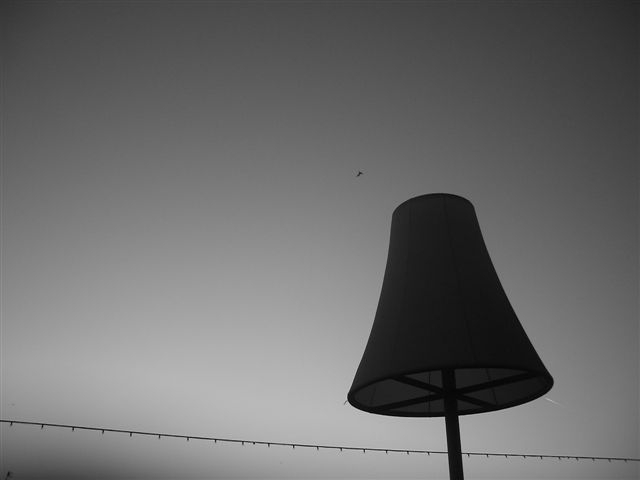 Rotterdam 25-26 Nov 06 une chute Rotterdam 25-26 Nov 06 une chute