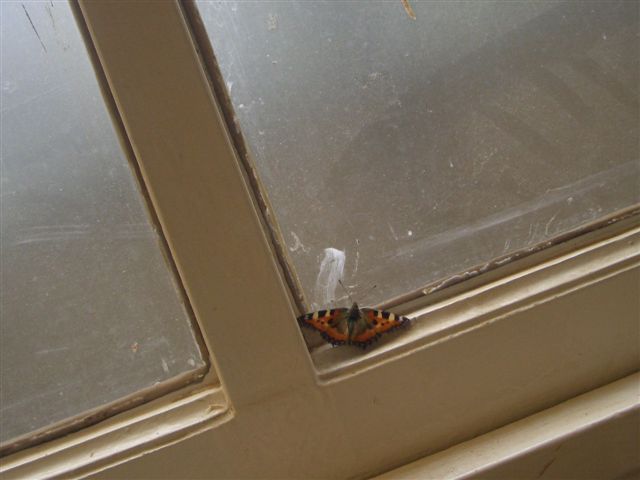 Rotterdam 25-26 Nov 06 004