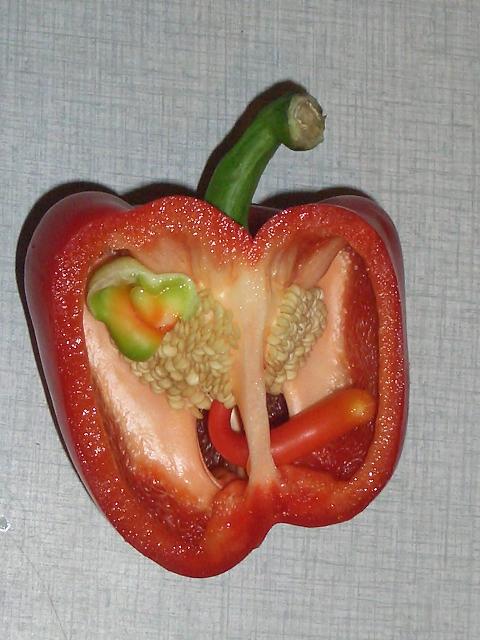 coeur et sexe de poivron coeur et sexe de poivron