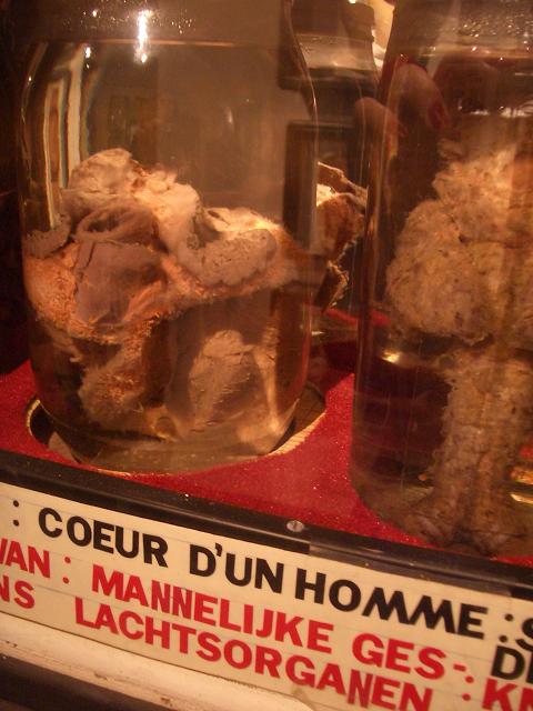 coeur dun homme salle spitzner coeur dun homme salle spitzner