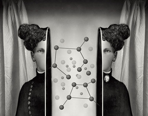 Jeffrey Micheal Harp In The Glare Of An Accustomed Flower