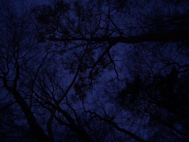 December 06 Blairwitch project (5) last thing I saw