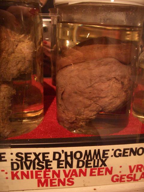 Sexe dhomme salle Spitzner Sexe dhomme salle Spitzner