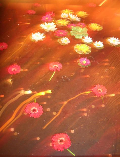 tapis volant de fleurs