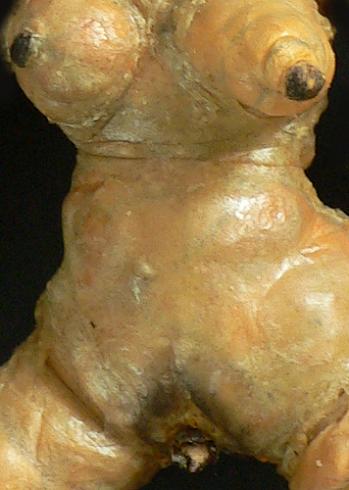 Ludoviande Ludovic Vasseur I