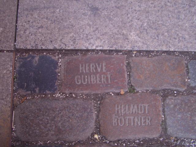 Bonn Guggenheim Collection December 06 RV Guibert