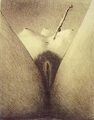 alfred kubin plongeoir