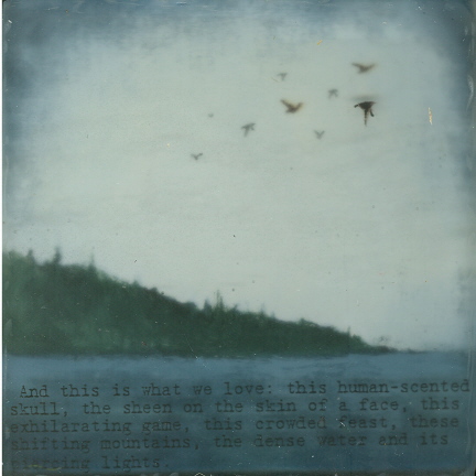 Faryn Davis and this is what we love