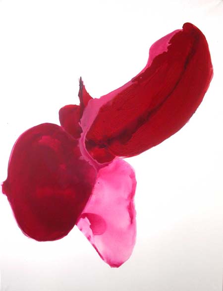 natalie lamotte violence du vivant