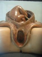 Femmes cire froide Dec 06