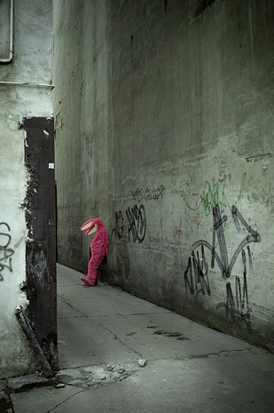 fabjanski lost rabbit