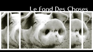 le fond des choses