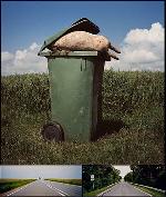 Philippe Lopparelli  dead sheep