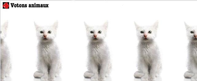 VOTONS ANIMAUX