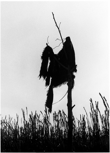 Christer Strömholm form