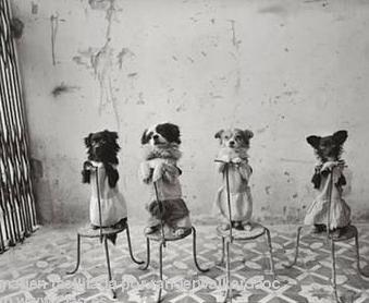 Mary Ellen Mark, peritos