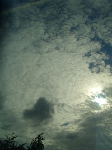 @Spart's - EGC - June 07 - Arlon (4)