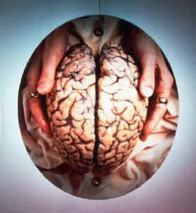 Helen Chadwick mind-zone