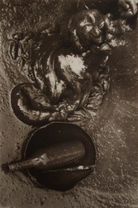 Tiane Doan Na Champassak mud