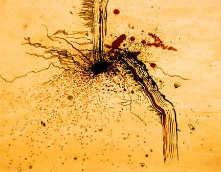 delaney larson the intuitive mark