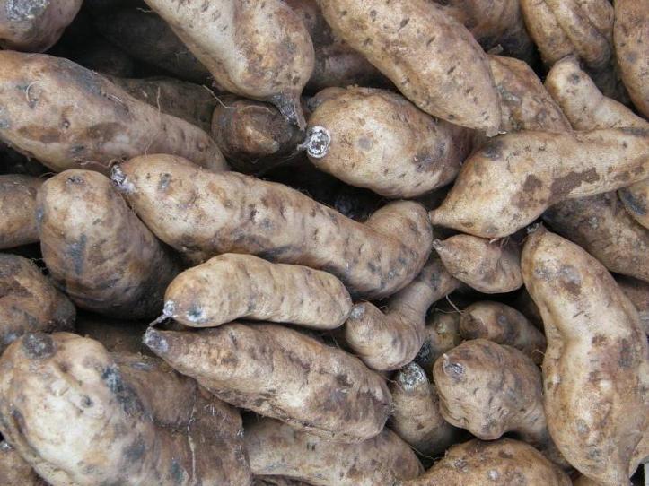 Septembre 07 douces choses