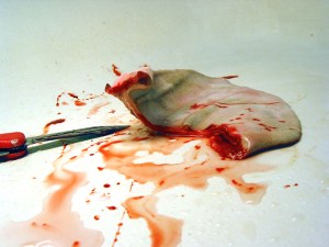 adam szrotek killing skins