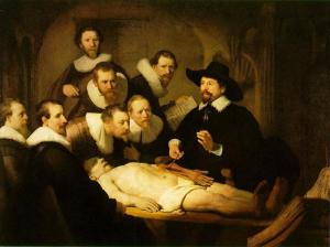 rembrandt dissection