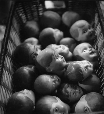 Vladimir Markovic survivants