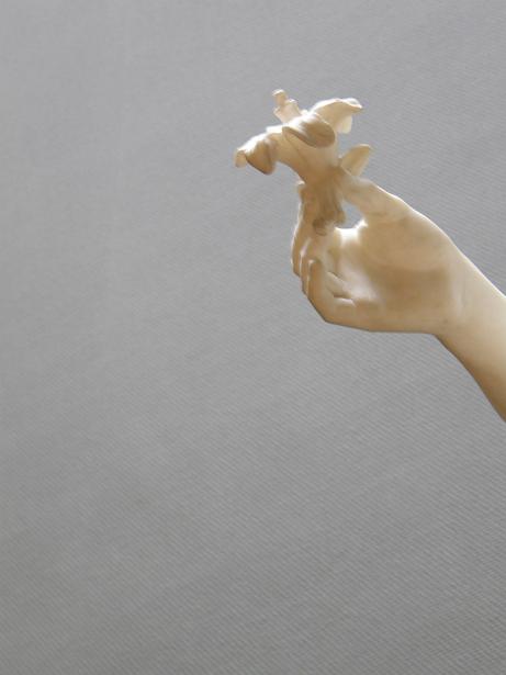 c&eacute;leste f&eacute;brilit&eacute; - Jan 08