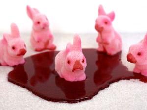 LIZ WOLFE mf_bunnyblood3