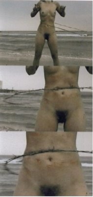 sigalit landau barbed hula