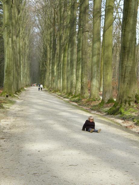 abandonnite aigue - Arboretum Tervueren - Avril 08