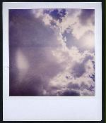 arielle fenton polaroids