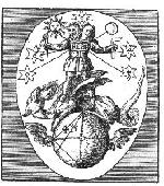 Hermaphrodite primordial