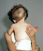 Diana Scherer fragment