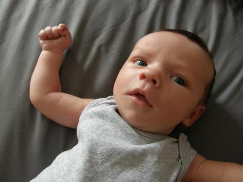 Cassius gris - 10 July 2008 small