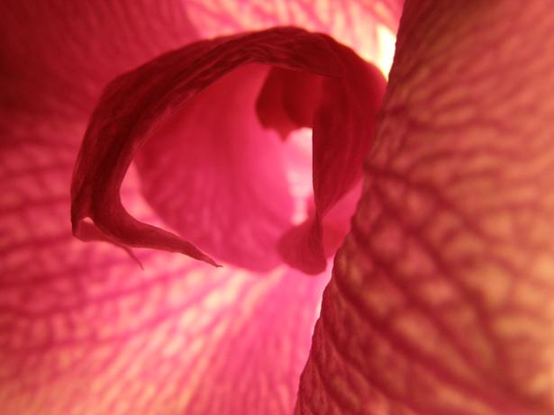 Mon sexe est froid - 23 july 08 040