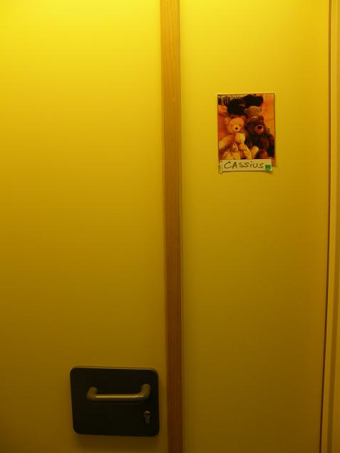 le myst&egrave;re de la porte jaune - Cassius est n&eacute; le 25 juin 08