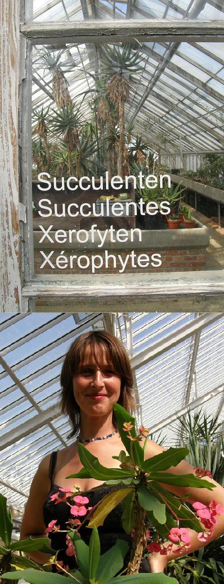 d&eacute;dicace aux fleurs succulentes - 30 ao&ucirc;t 08