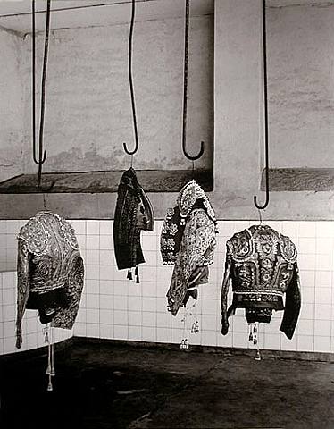 Ruven Afanador plaza acho