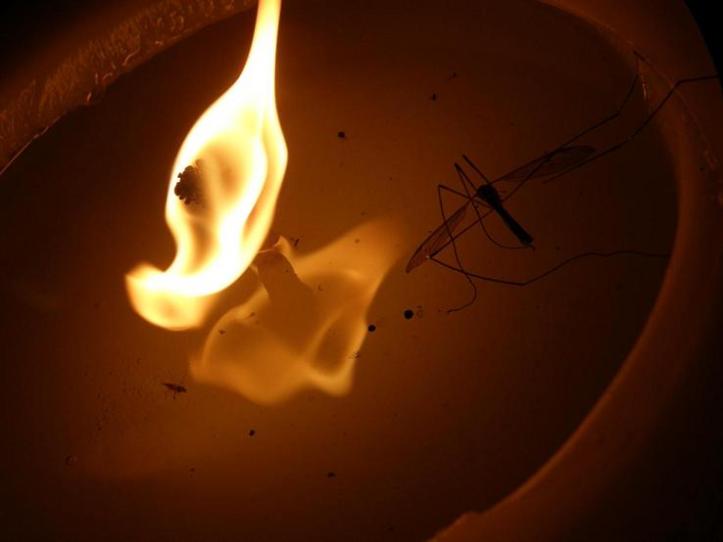 p&ecirc;che peu rev&ecirc;che - 6 Septembre 08