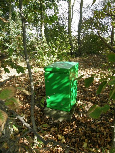 le truc vert - Rochefort sur Mer - 3 Oct 08