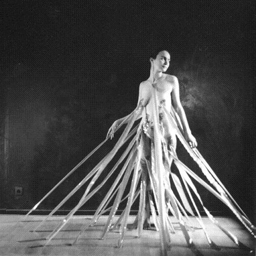 Stephane Fugier evelyne