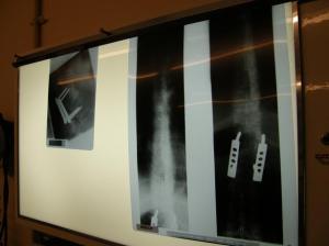 Moona's back - 31 oct 08