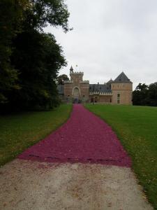 arriv&eacute;e chateau de gaasbeek - 8 oct 08