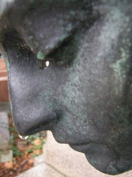 pluvieux 27-30 nov 2008