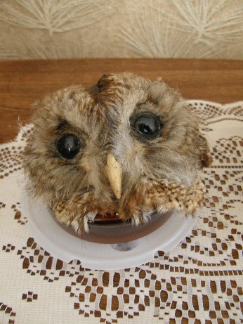 l&agrave; o&ugrave; j'ai grandis 25 d&eacute;c 2008 II