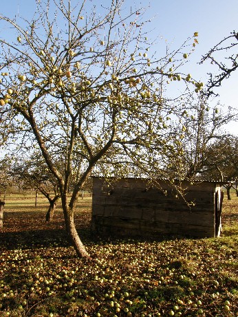 l&agrave; o&ugrave; j'ai grandis 25 d&eacute;c 2008