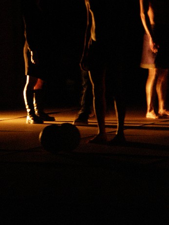 flowers 12 février 2009