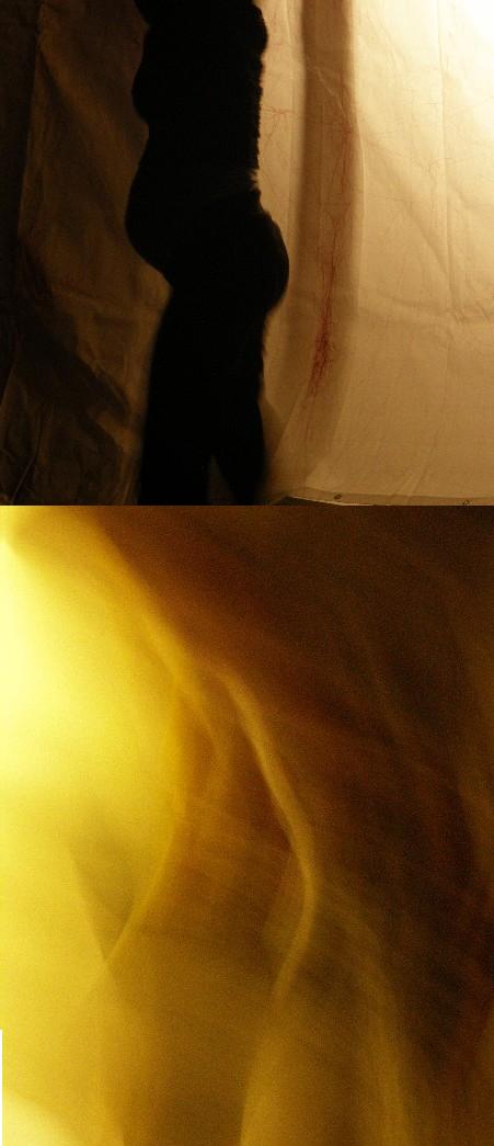 en vie, envies - f&eacute;vrier & mars 2009